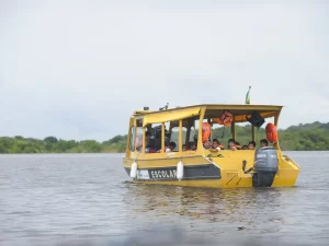 Custo Amazônico