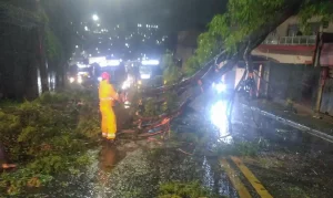 Ciclone em São Paulo