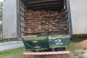 Madeira apreendida