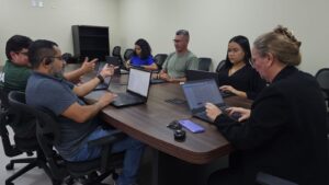 Mosaico do Baixo Madeira