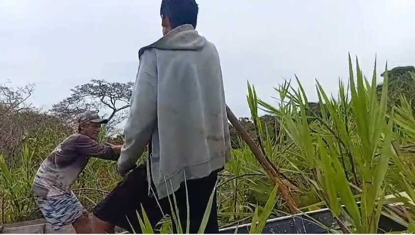 Trabalho no Lago do Antônio capa editado