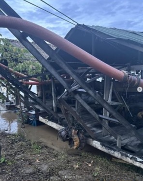 Draga no Beem editada