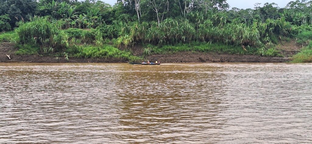 Gestão ambiental