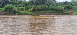 Gestão ambiental