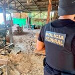 OPERAÇÃO MAPURU: PF E IBAMA MIRAM ESQUEMA DE EXTRAÇÃO E COMÉRCIO ILEGAL DE MADEIRA EM BOCA DO ACRE