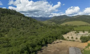 Agricultura ganha terreno