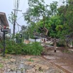 VENTANIA DERRUBA ÁRVORE, DANIFICA POSTES E DEIXA BAIRROS SEM ENERGIA EM HUMAITÁ