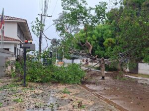 Temporal em Humaitá