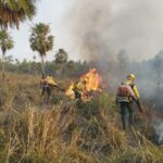 HUMAITÁ LIDERA MULTAS E EMBARGOS POR QUEIMADAS ILEGAIS NO SUL DO AMAZONAS